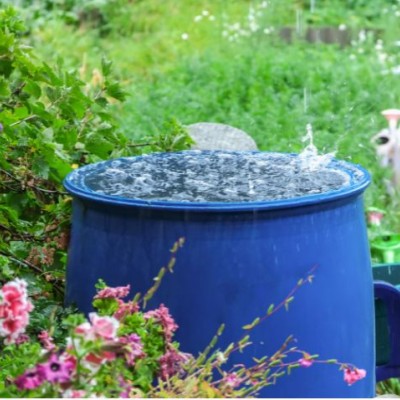 Rainwater harvesting 101: How to use rainwater at home